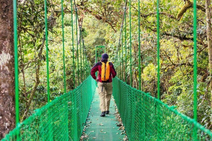 Puntarenas Shore Excursions. Hanging Bridges walk