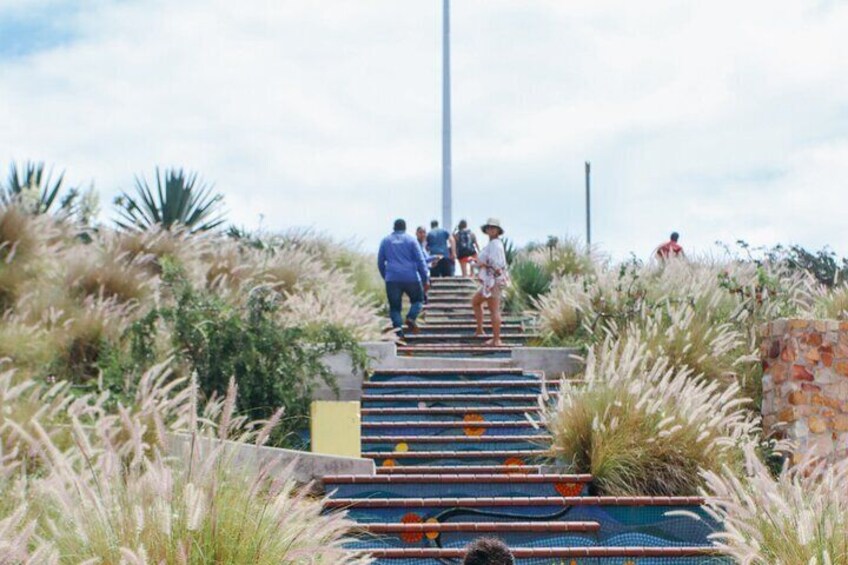 Port Elizabeth, Route 67