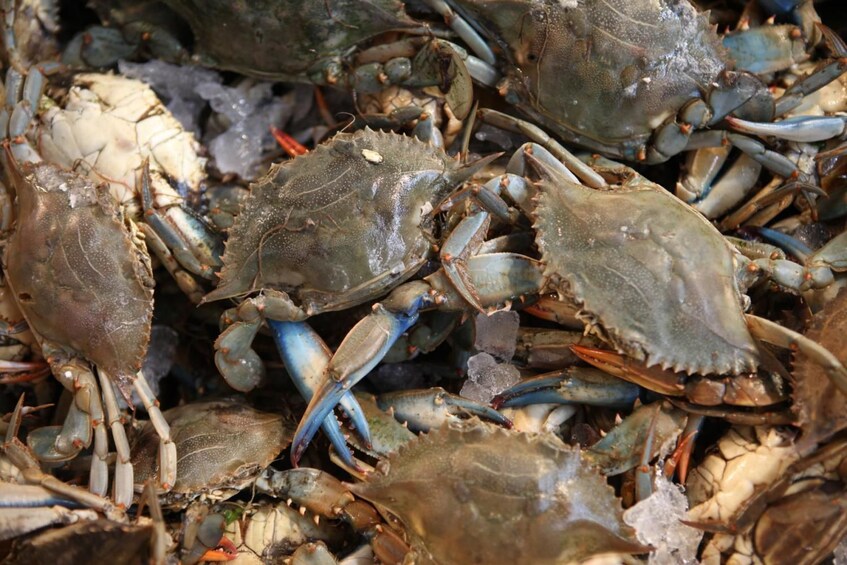 Pile of fresh crab on food tour in Athens