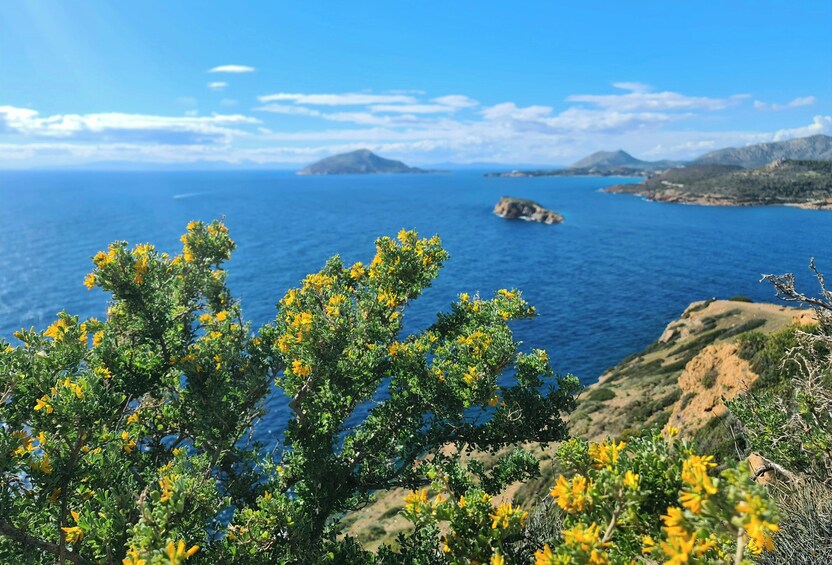 Cape Sounion & Temple of Poseidon Half-Day Trip from Athens