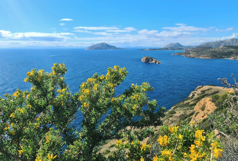 Cape Sounion & Temple of Poseidon Half-Day Trip from Athens