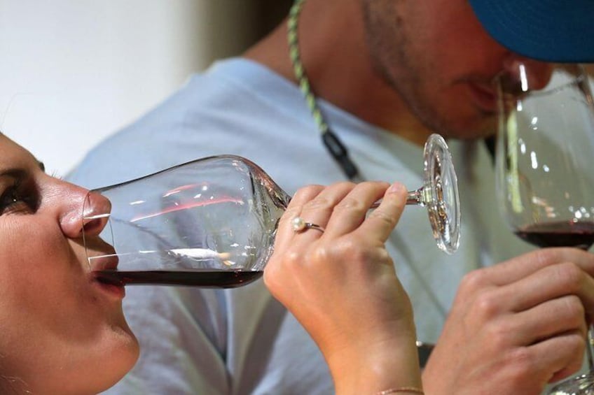 Winery tasting in Embona's village