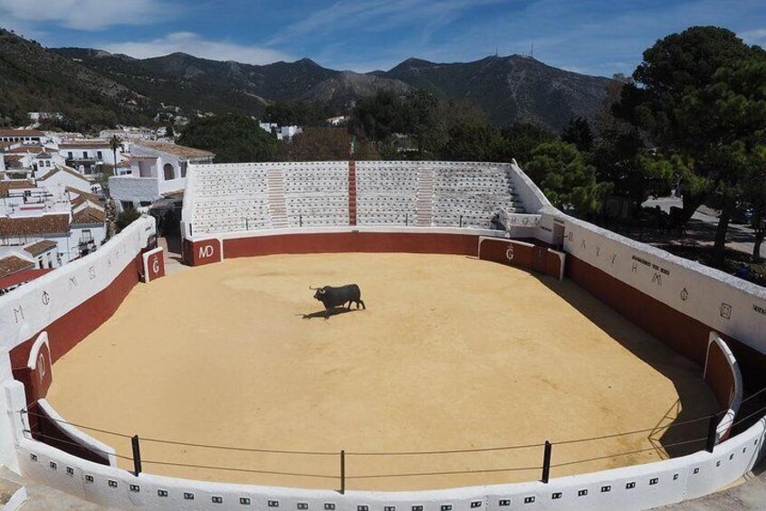 Mijas Village Private Tour from Malaga and Surrounding Areas