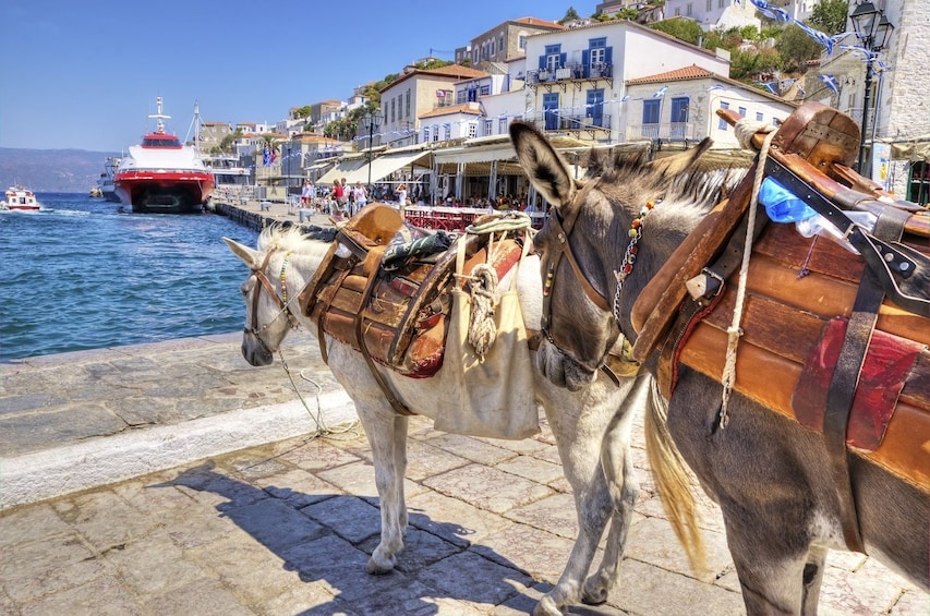 Poros, Hydra & Aegina Day Cruise with Lunch