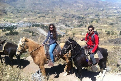 Overnight Tour: Colca Canyon Including Horse Riding from Arequipa