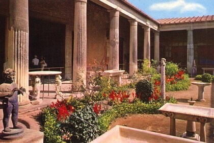 Visita turística de medio día a Pompeya desde Sorrento