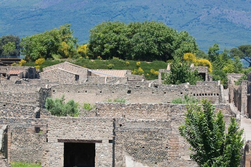 Pompeii trip from Sorrento