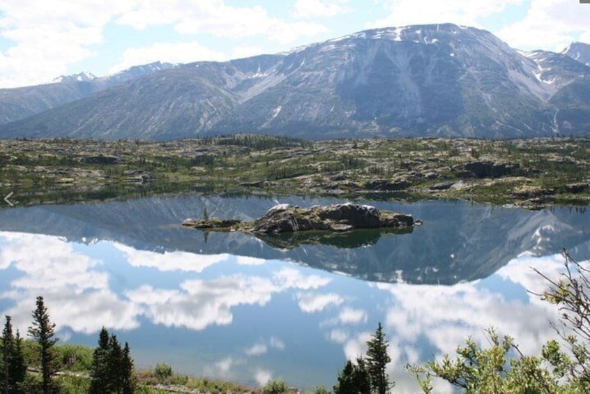 Half-Day Yukon Sightseeing Shore Excursion from Skagway