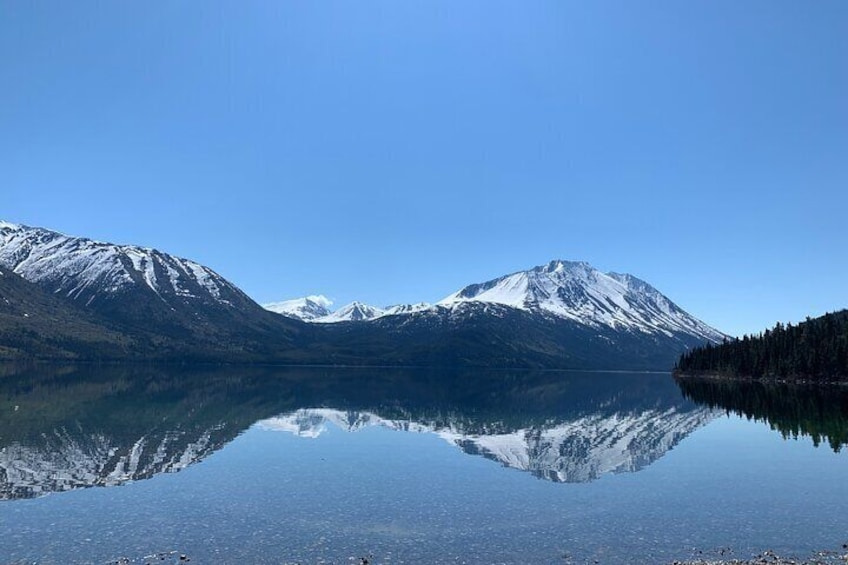 Half-Day Yukon Sightseeing Shore Excursion from Skagway