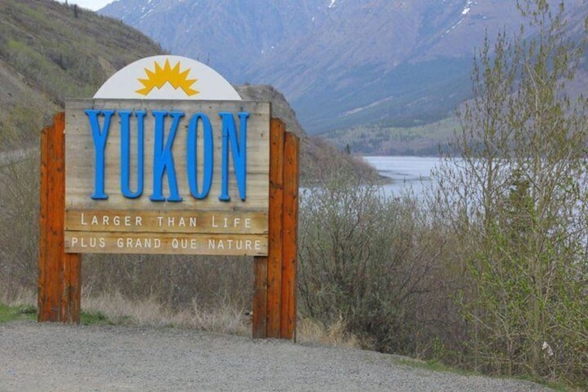 Skagway Shore Excursion: Yukon Dog Sledding and Sightseeing Tour