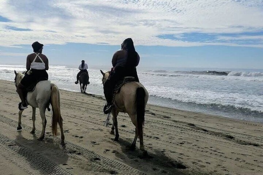 ✨ AfroMexican Village-Gentle Horseback Ride-Baby Turtle Release & Crocodile Farm