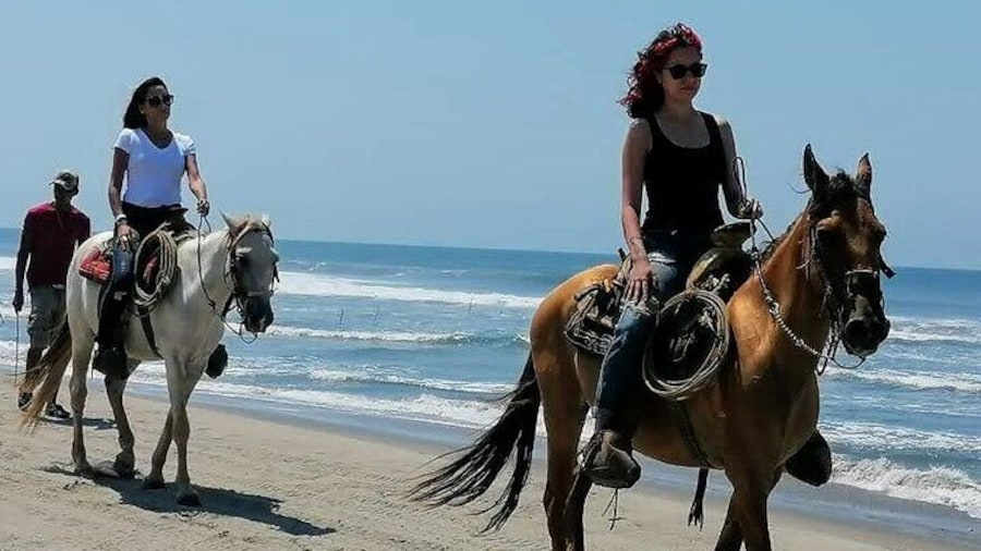 Afro-Mex Village Experience -Horseback Ride -Turtle Hatch & Crocs
