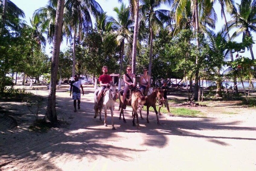 Beach Horseback Riding -Baby Turtle Release & Croc Farm with Mexican Lunch