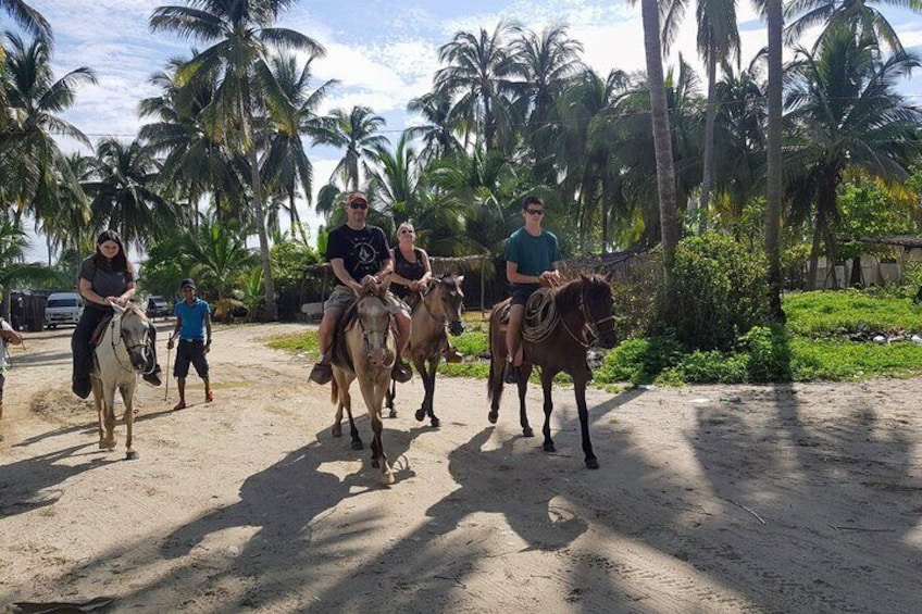 ✨ AfroMexican Village-Gentle Horseback Ride-Baby Turtle Release & Crocodile Farm