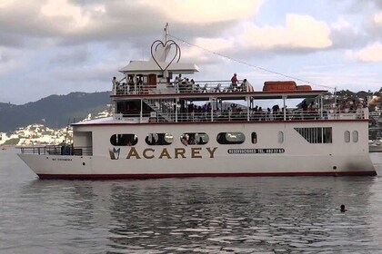 ⭐⭐ Acarey Yacht Cruise Open Bar Sunset Tour With or Without Transportation