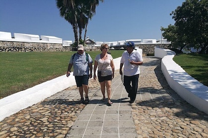 6Hr Walking & Van Tour San Diego Fort Museum Cliff Divers Zocalo