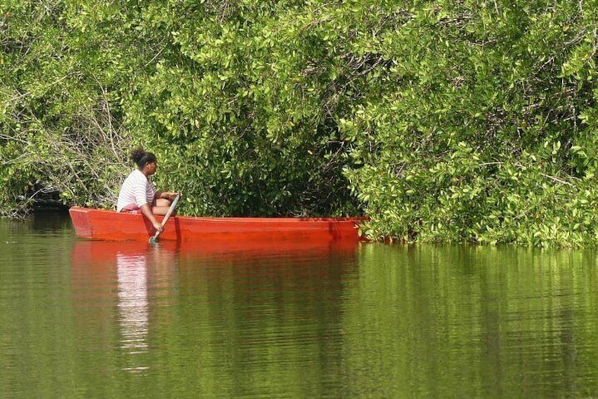 Our adventure in the Lagoon