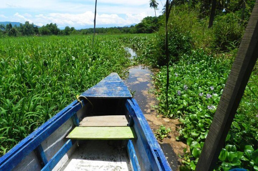 Jungle Tour Coyuca Lagoon 1 Hour Boat Ride & Baby Turtle Release Tour With Lunch