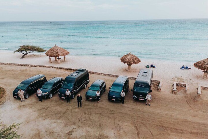 Private Tour: Essential Tour of Aruba