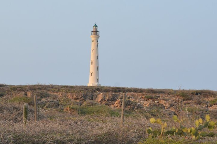 California Lighthouse