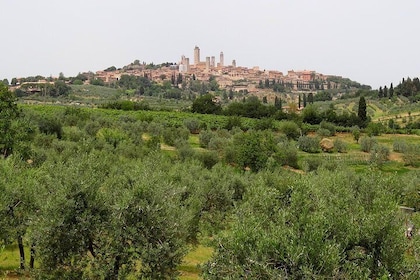 Privat VIP Exclusive Tour til Siena og San Gimignano med vinsmaking og luns...