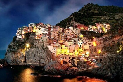 Private VIP Exclusive Tour of Cinque Terre - Shore Excursion from Livorno/S...