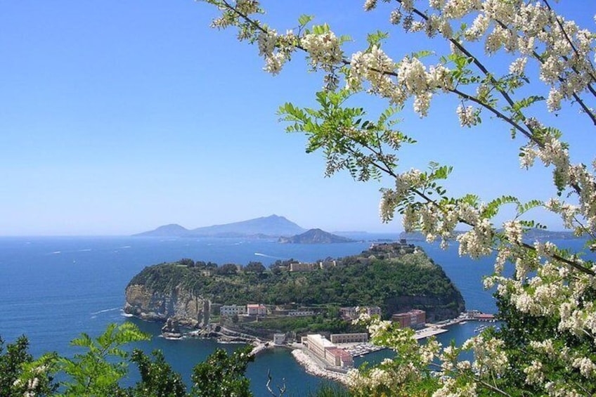 Semi Private Amalfi Coast Shore Excursion with Pick Up