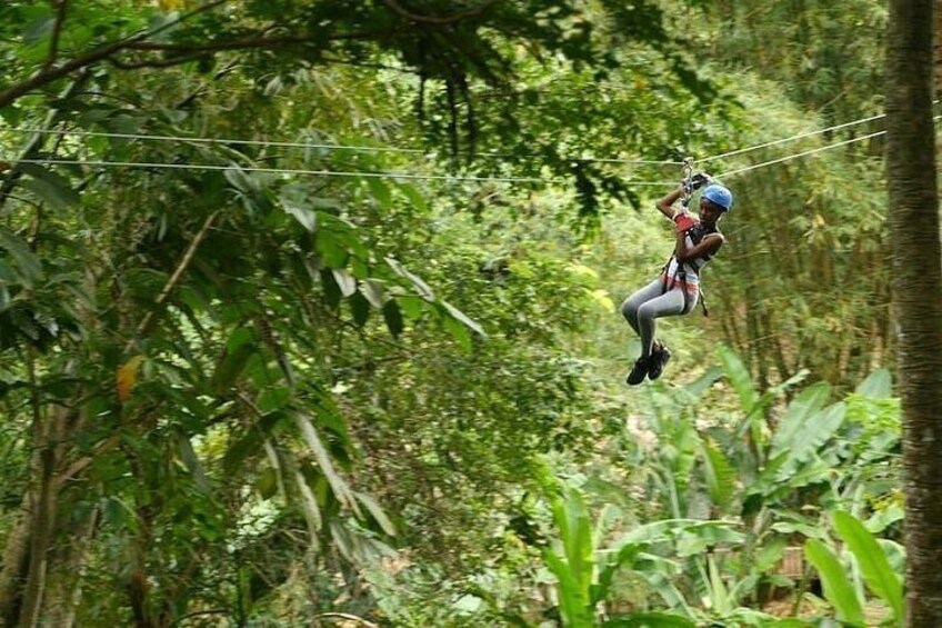 Treetop Adventure Park Canopy Tour