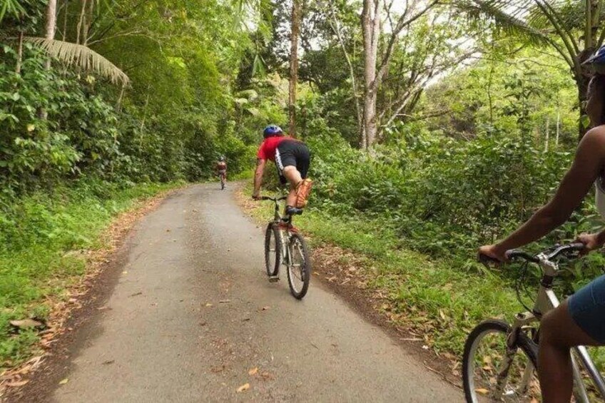 Having Fun On The Trail