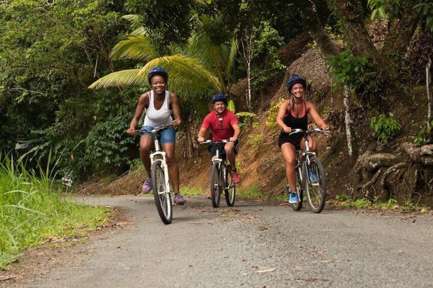 Rainforest Cycling to Waterfall