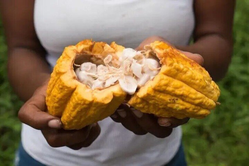 Enjoying the Local Fruits.