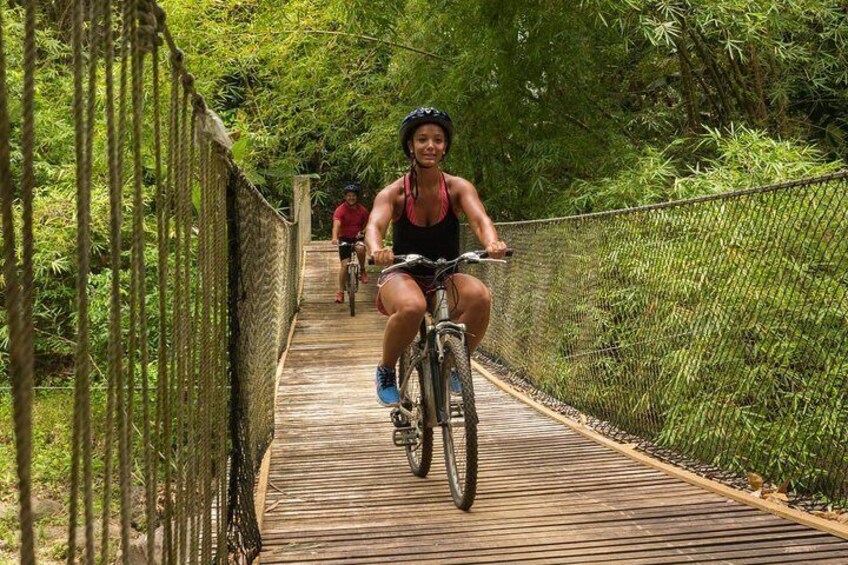 Adventurous Rainforest Cycling