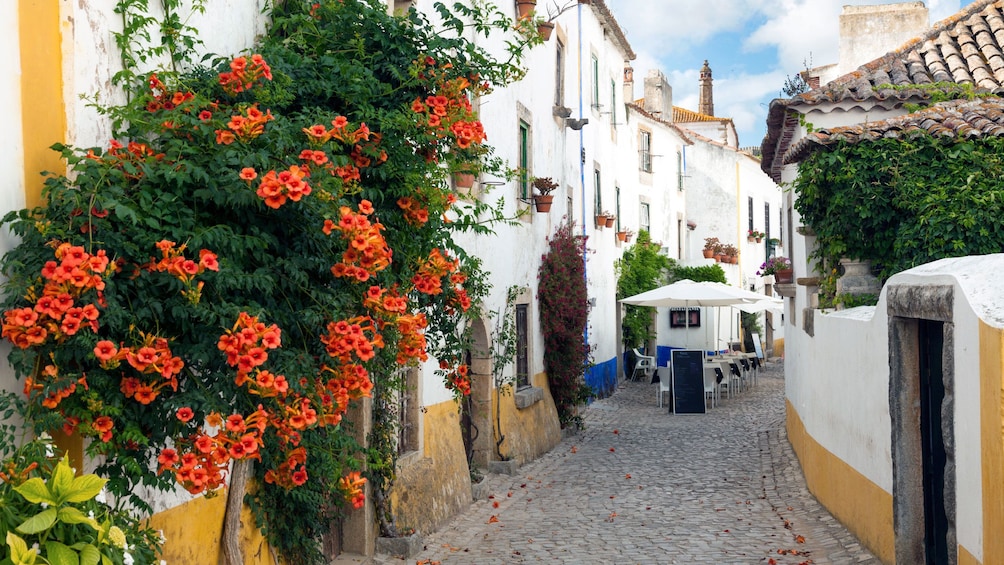 Streets of Obidos