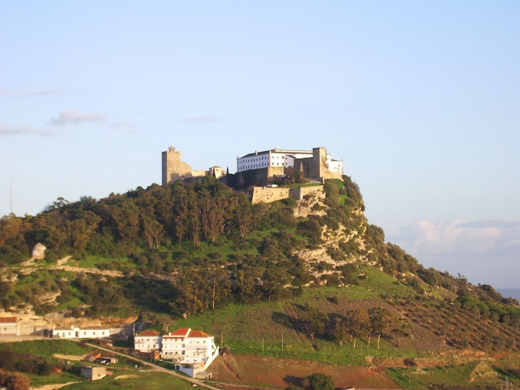 Arrábida Wine Small-Group Full-Day Tour