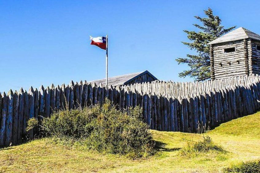 Full-Day Punta Arenas and Magellan Strait Tour