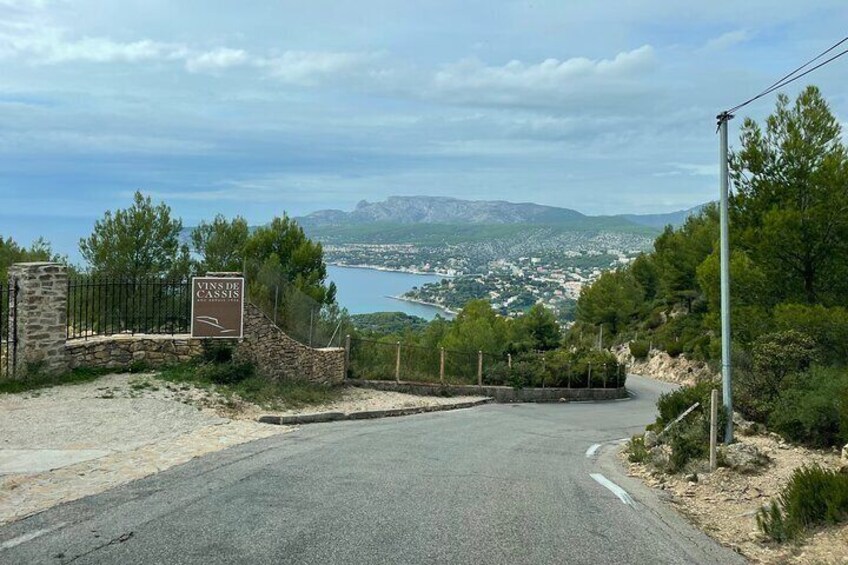 Cassis