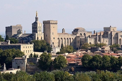 Full private day Avignon Chateuneuf du pape wine tasting