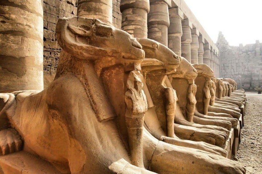 sphinx avenue karnak temple