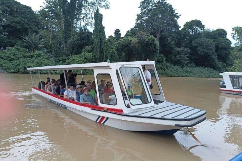 Veragua Rainforest Eco-Adventure & aerial tram & tortuguero canal