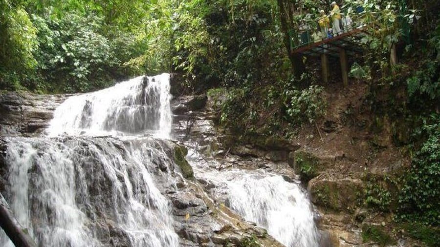 Veragua waterfall