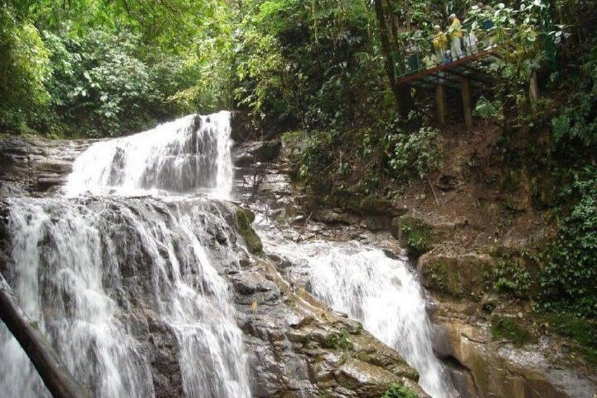 Veragua waterfall