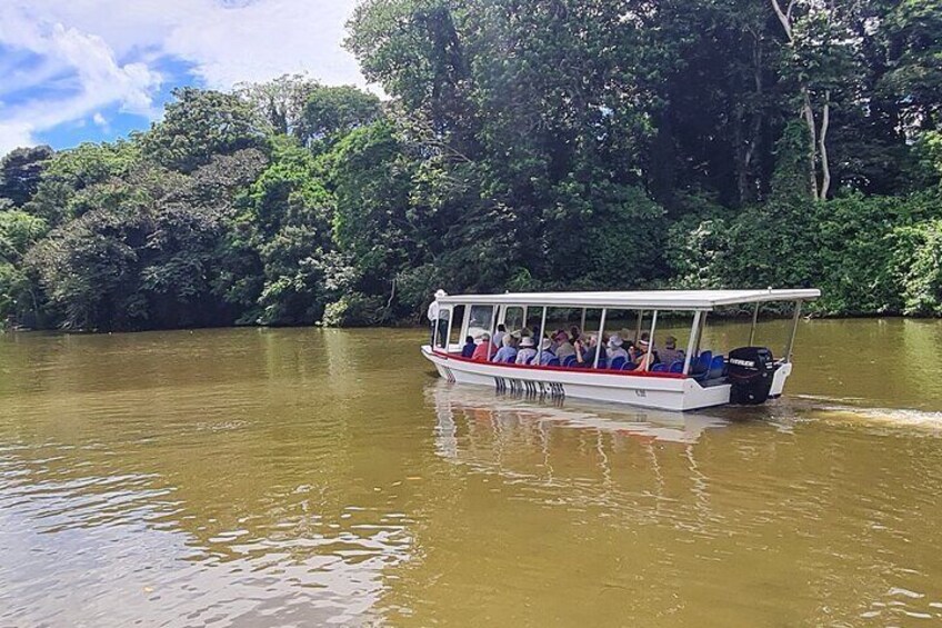 Veragua Rainforest Eco-Adventure & aerial tram & tortuguero canal