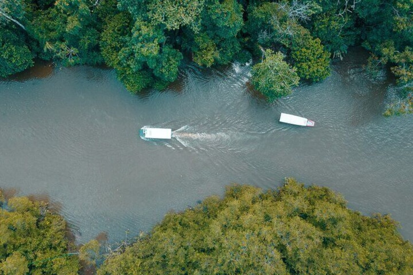 Veragua Rainforest and Tortuguero Canals Tour from Puerto Limon