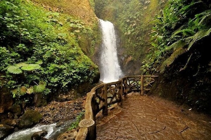 Waterfall Gardens plus Doka coffe tour (Private)