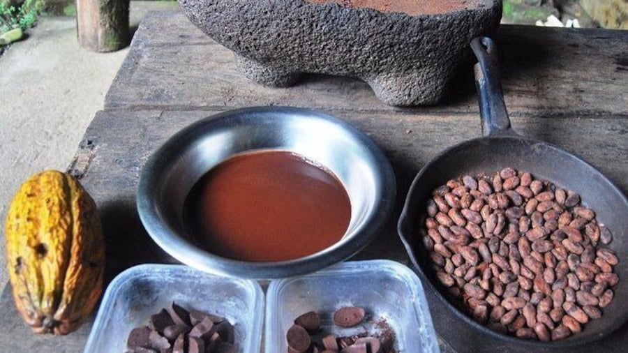 Chocolate experience