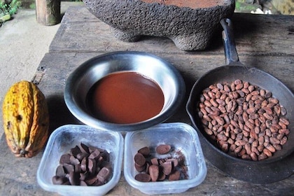 The chocolate forest experience & Cahuita National Park