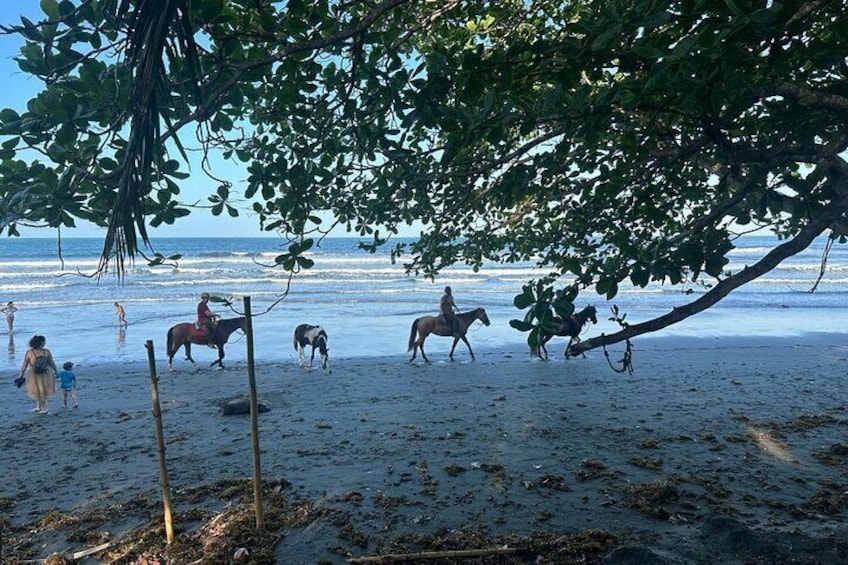 Chocolate tour in indigenous area BriBri & Cahuita National Park
