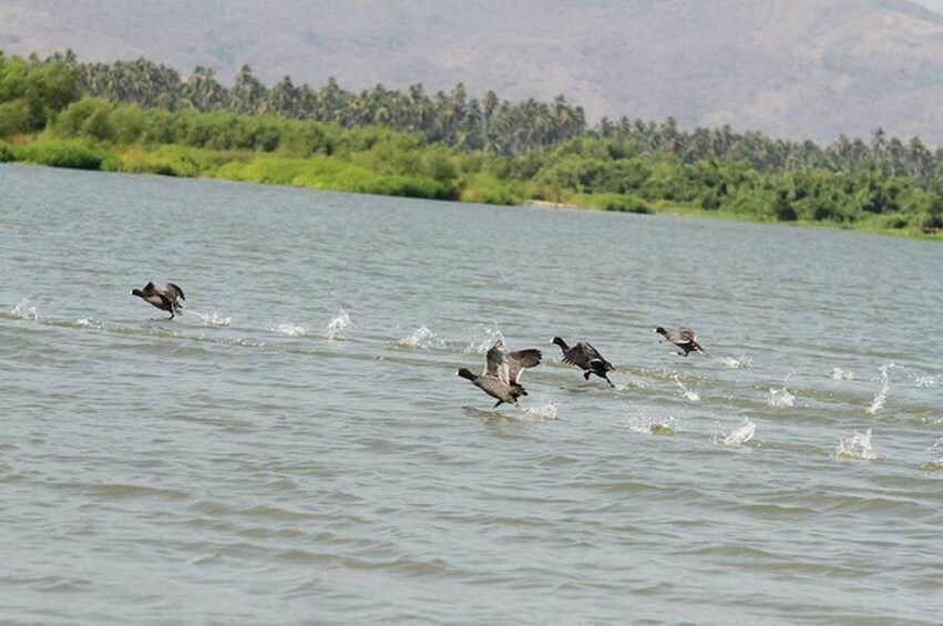 Coyuca Lagoon