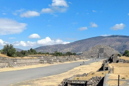 Private Tour Layover in Mexico know Teotihuacan and Guadalupe Shrine