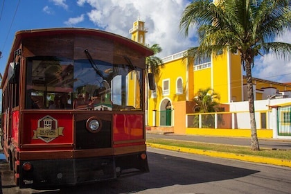 Tour por la ciudad de Cozumel en tranvía